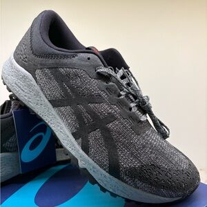 ASICS Alpine XT Men’s Shoes